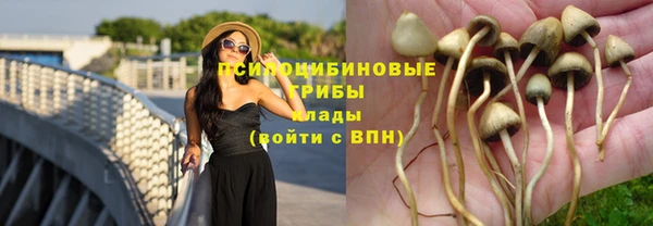 сатива Абаза