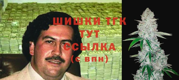 сатива Абаза