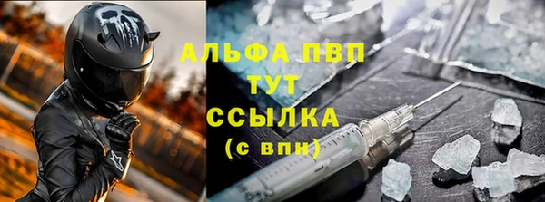 PSILOCYBIN Киренск