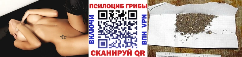 Галлюциногенные грибы MAGIC MUSHROOMS  OMG рабочий сайт  Ржев 