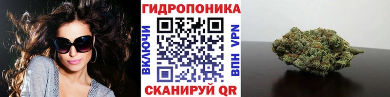 Каннабис семена  наркота  МЕГА tor  Ржев 